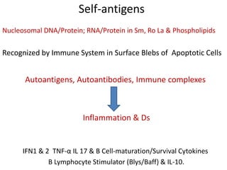 Self-antigens
Nucleosomal DNA/Protein; RNA/Protein in Sm, Ro La & Phospholipids
Recognized by Immune System in Surface Blebs of Apoptotic Cells
Autoantigens, Autoantibodies, Immune complexes
Inflammation & Ds
IFN1 & 2 TNF-α IL 17 & B Cell-maturation/Survival Cytokines
B Lymphocyte Stimulator (Blys/Baff) & IL-10.
 