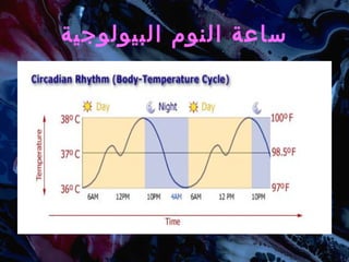 ساعة النوم البيولوجية 