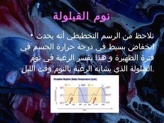 نوم القيلولة نلاحظ من الرسم التخطيطي أنه يحدث انخفاض بسيط في درجة حرارة الجسم في فترة الظهيرة و هذا يفسر الرغبة في نوم القيلولة الذي يشابه الرغبة بالنوم وقت الليل . 
