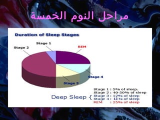 مراحل النوم الخمسة 13 