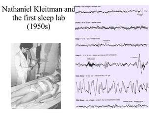 Nathaniel Kleitman and the first sleep lab (1950s) 