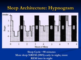 Sleep Science Graph The Science Behind Sleep | PPT