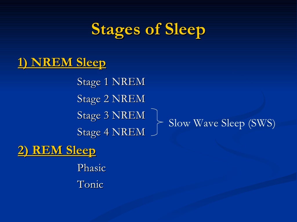 The Science Behind Sleep