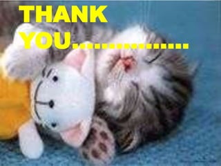 THANK
YOU…………….
 