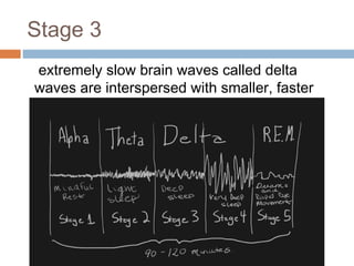 Stage 3
 extremely slow brain waves called delta
waves are interspersed with smaller, faster
waves
 