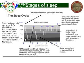 Sleep And Fatigue