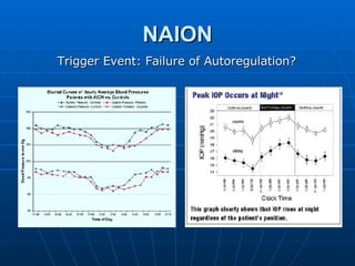 NAION Trigger Event: Failure of Autoregulation? 