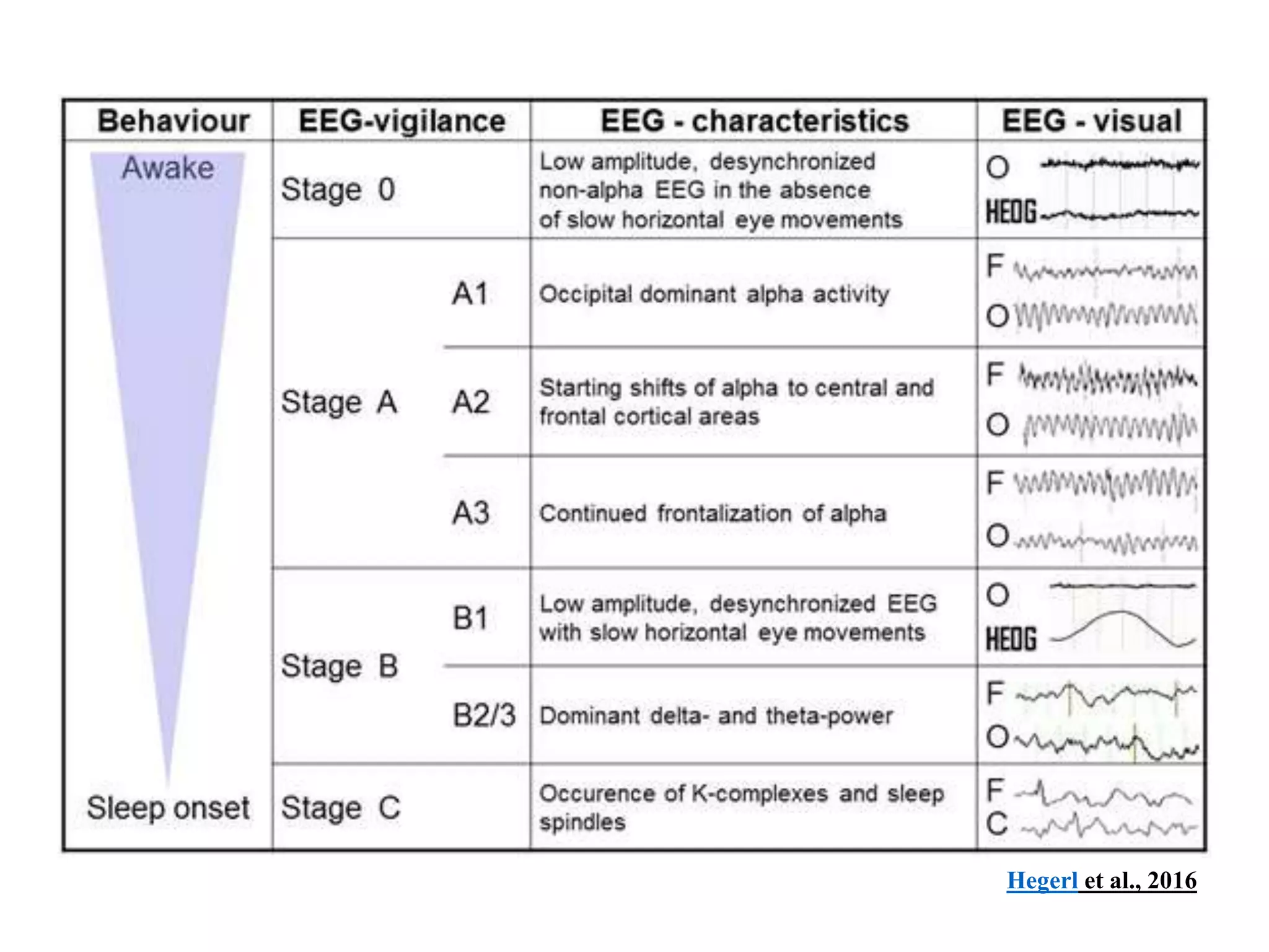 Sleep wake cycle | PPTX