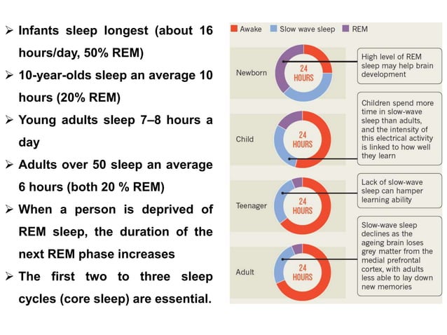 Sleep wake cycle | PPTX | Sleep Disorders | Diseases and Conditions