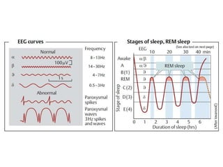 Sleep wake cycle | PPTX