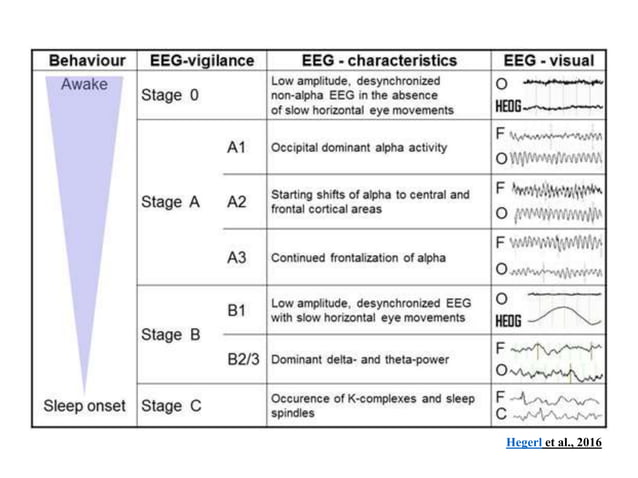 Sleep wake cycle | PPTX | Sleep Disorders | Diseases and Conditions