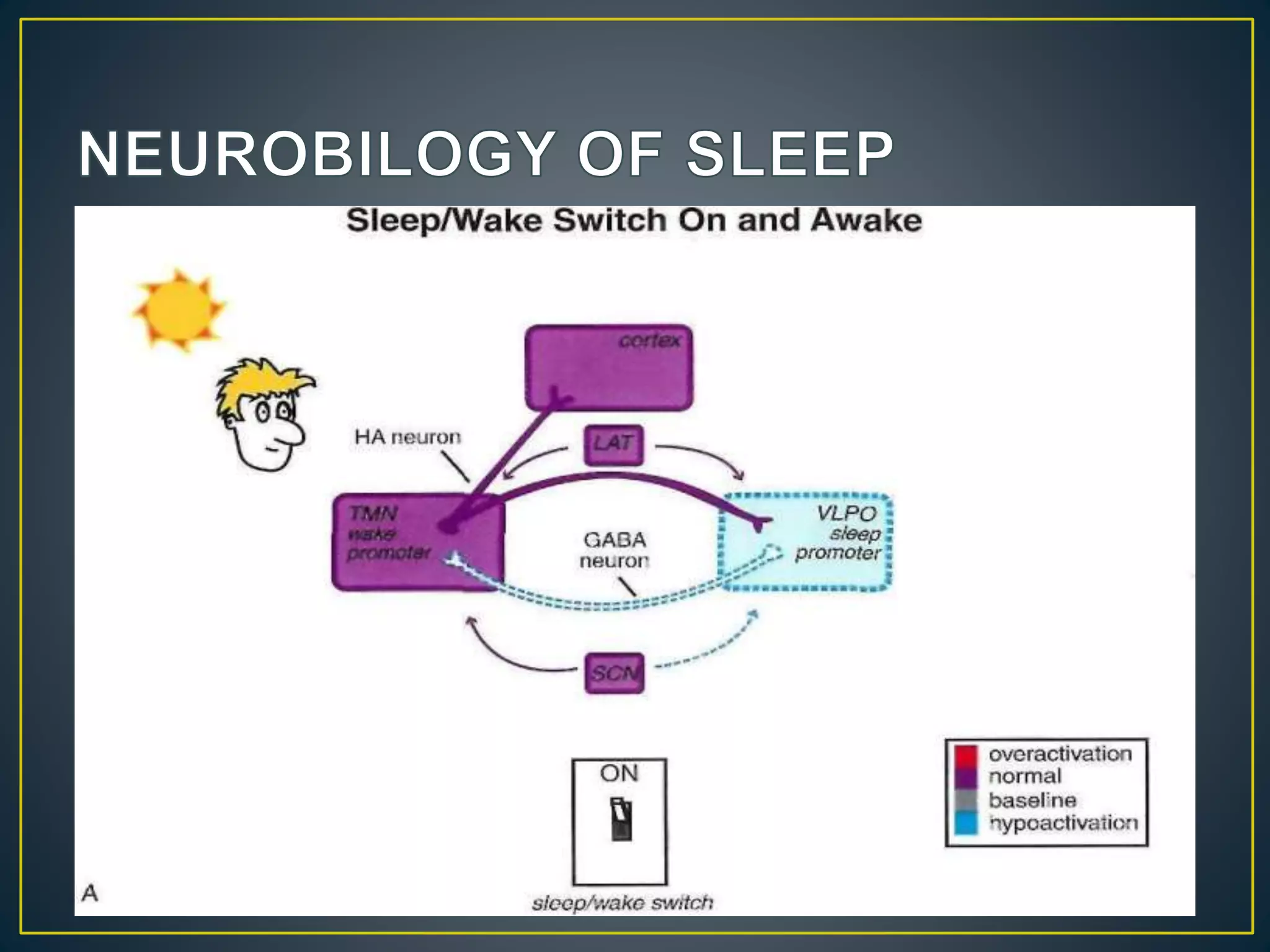 Sleep wake disorders | PPTX