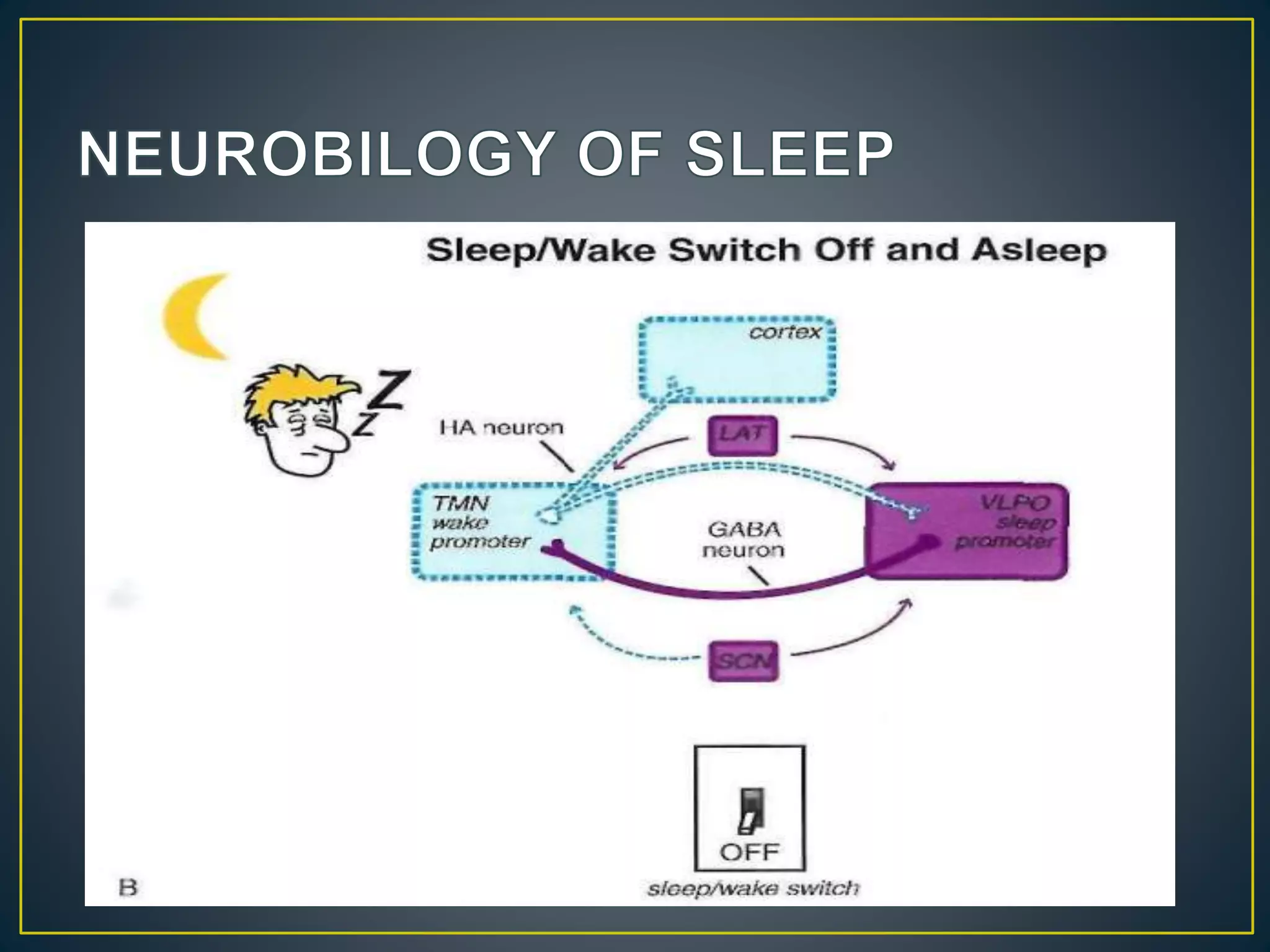 Sleep wake disorders | PPTX