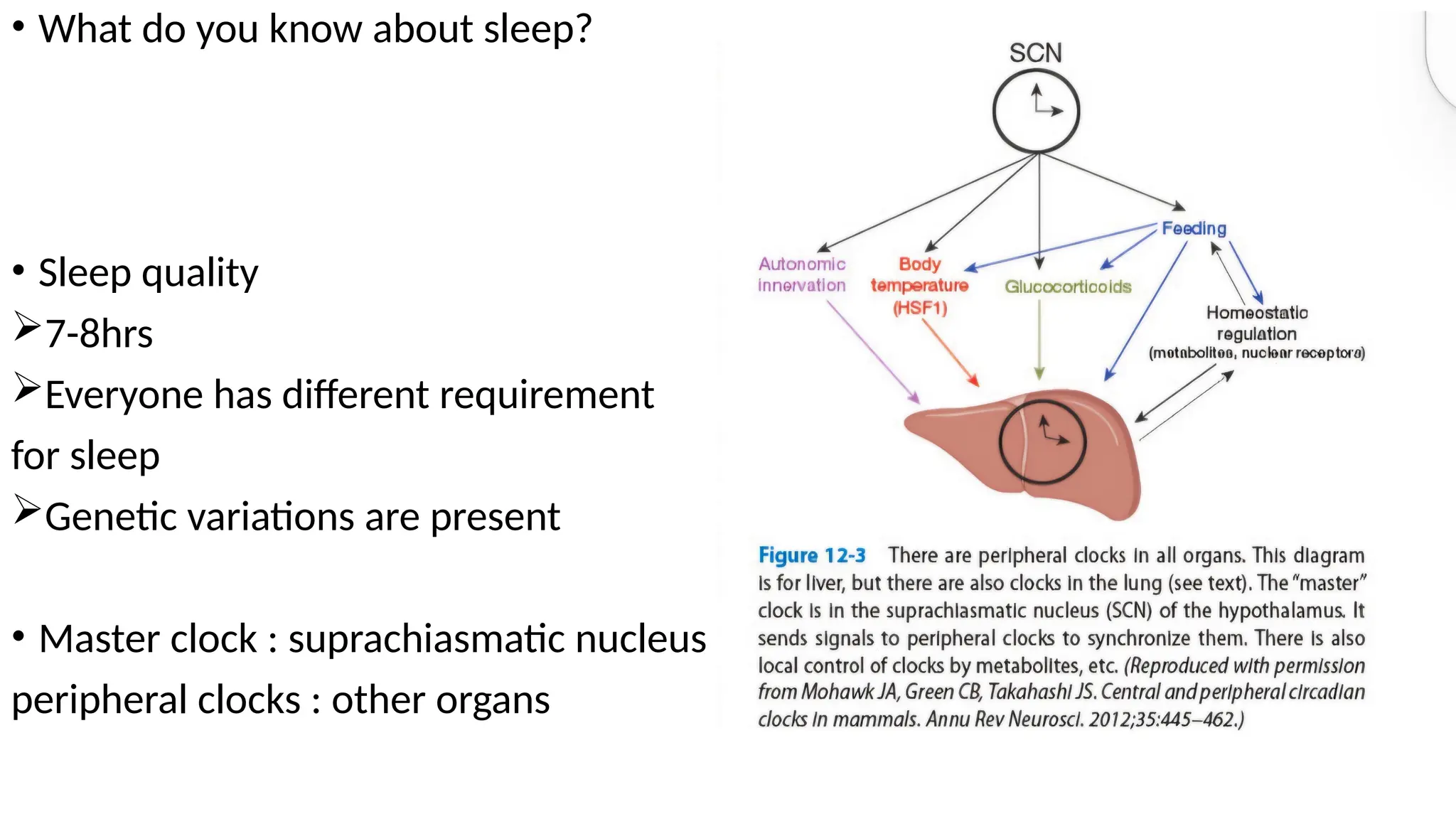 • What do you know about sleep?
• Sleep quality
7-8hrs
Everyone has different requirement
for sleep
Genetic variations are present
• Master clock : suprachiasmatic nucleus
peripheral clocks : other organs
 