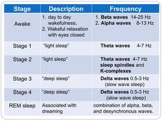 Stage         Description                 Frequency
            1. day to day           1. Beta waves 14-25 Hz
 Awake         wakefulness.         2. Alpha waves 8-13 Hz
            2. Wakeful relaxation
               with eyes closed

 Stage 1    “light sleep”              Theta waves     4-7 Hz

 Stage 2    “light sleep”              Theta waves 4-7 Hz
                                       sleep spindles and
                                       K-complexes
 Stage 3    “deep sleep”               Delta waves 0.5-3 Hz
                                        (slow wave sleep)
 Stage 4    “deep sleep”               Delta waves 0.5-3 Hz
                                         (slow wave sleep)
REM sleep   Associated with         combination of alpha, beta,
            dreaming                and desynchronous waves.
 