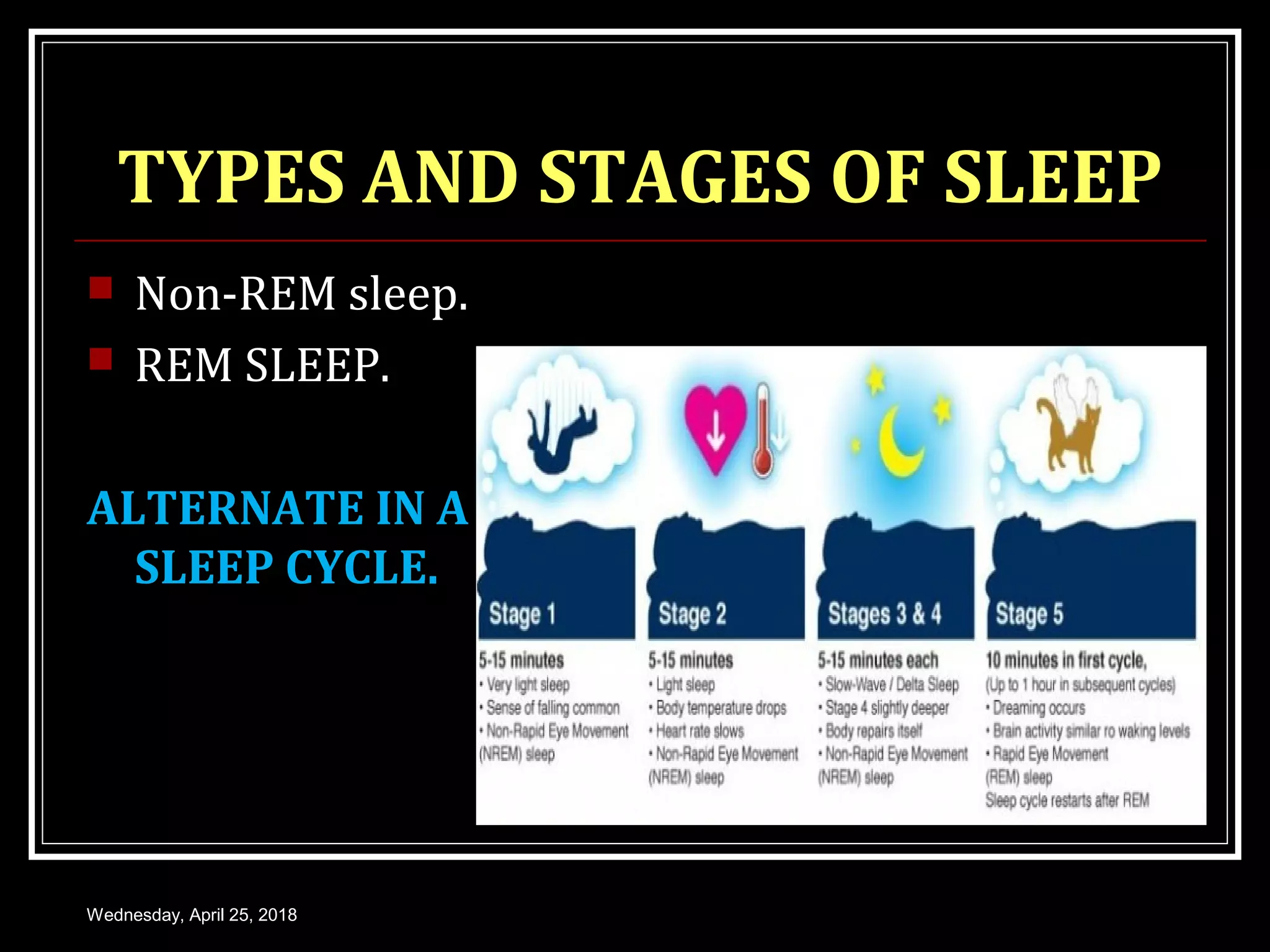 Polyphase Sleep Types SLEEP AND EEG | PPT