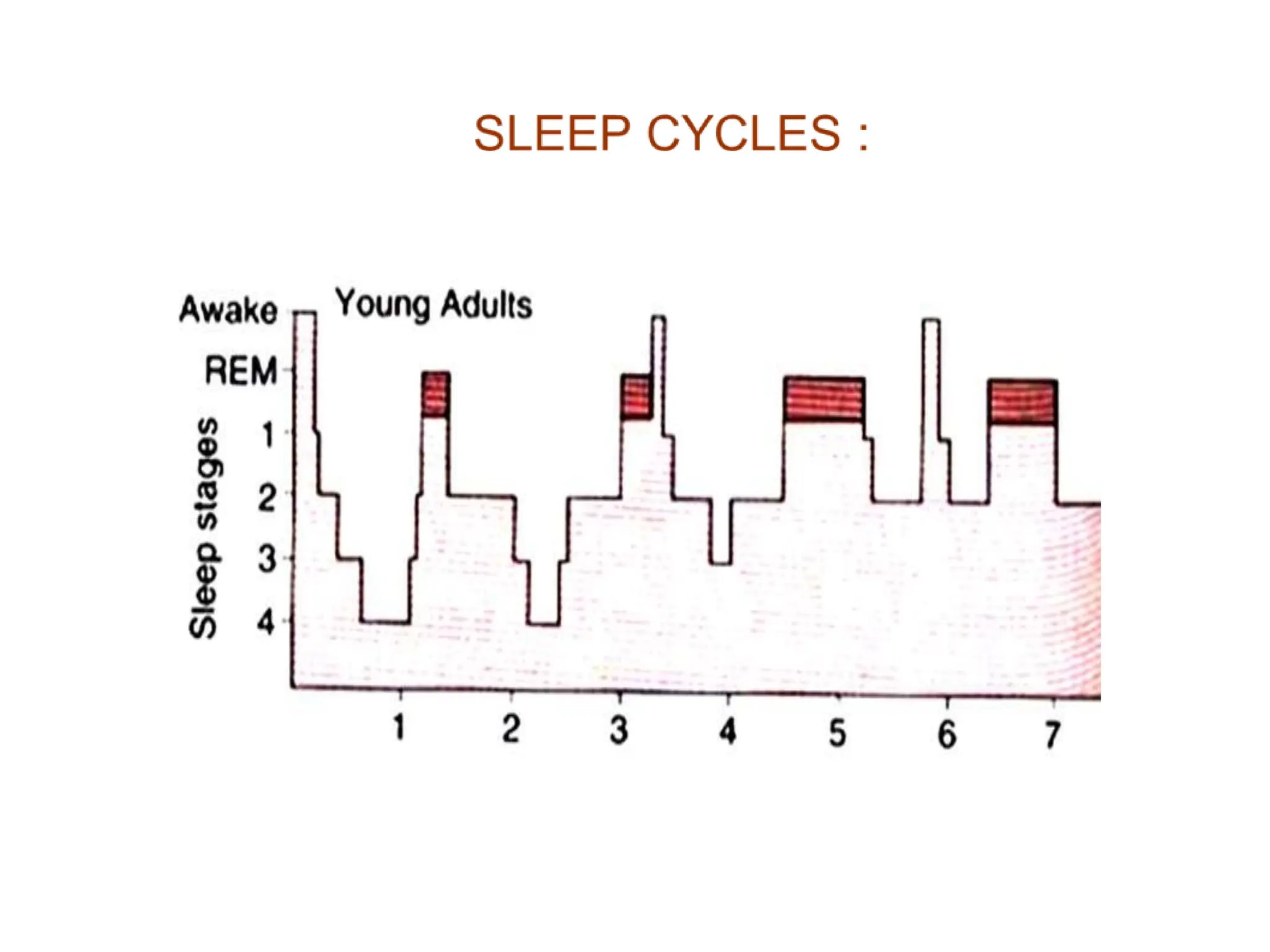 Sleep physiology and EEG waves in humans PPT | PPTX