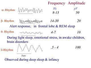 Sleep physiology and EEG waves in humans PPT | PPTX