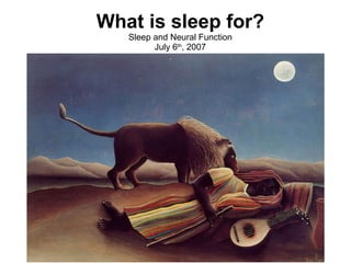 What is sleep for? Sleep and Neural Function July 6 th , 2007 