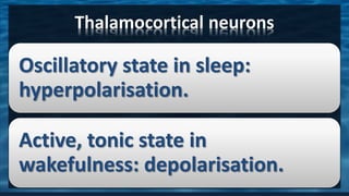 Sleep and wakefulness | PPSX