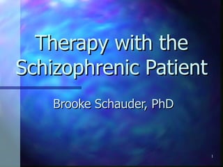 Therapy with the Schizophrenic Patient Brooke Schauder, PhD 