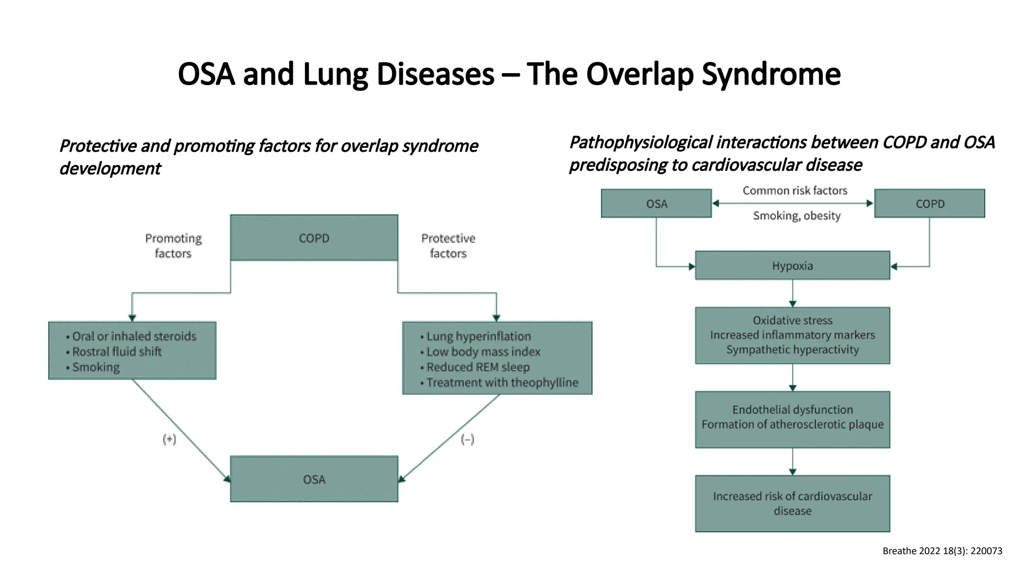 Protective and promoting factors for overlap syndrome
development
Pathophysiological interactions between COPD and OSA
predisposing to cardiovascular disease
OSA and Lung Diseases – The Overlap Syndrome
Breathe 2022 18(3): 220073
 