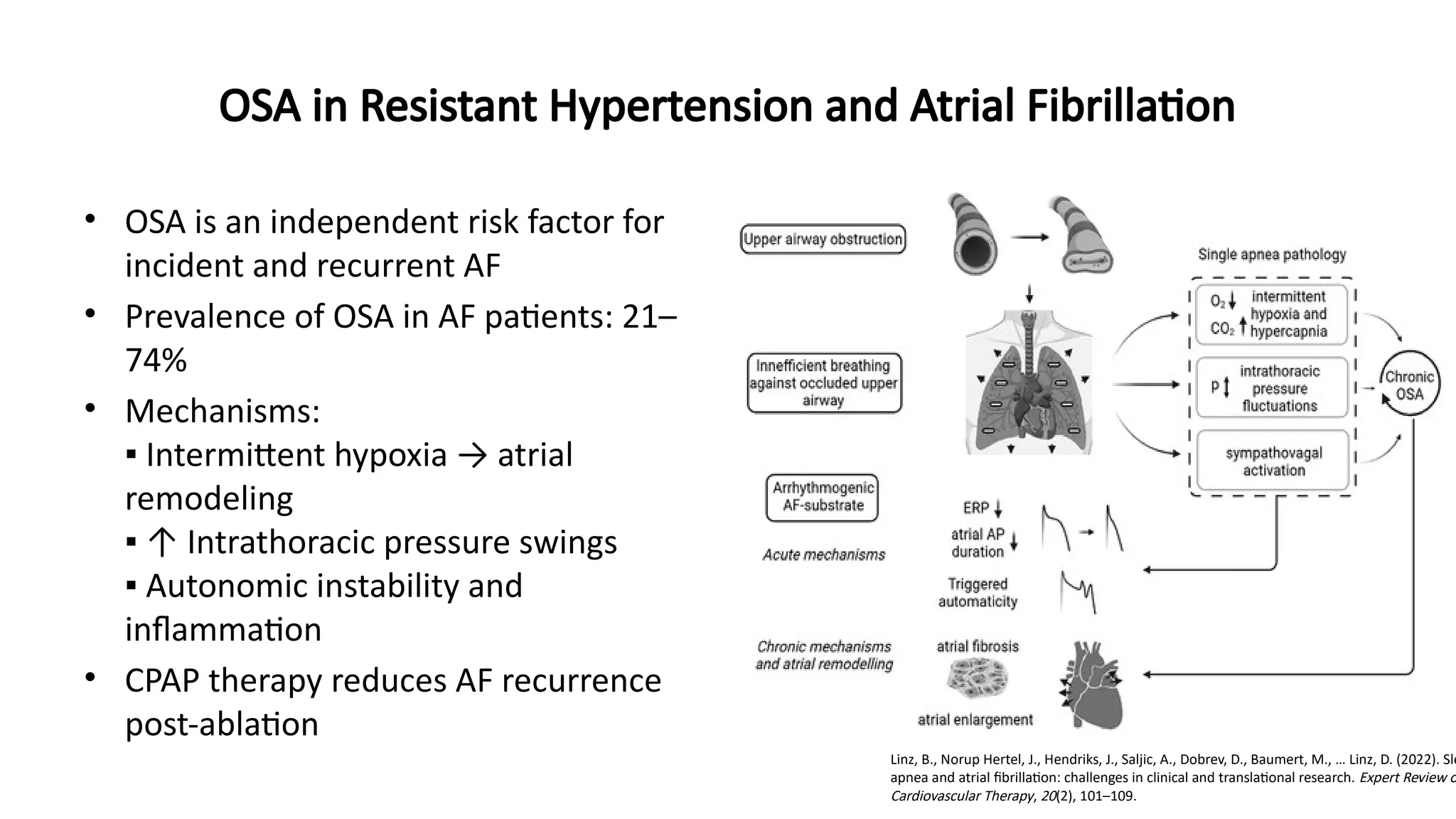 OSA in Resistant Hypertension and Atrial Fibrillation
• OSA is an independent risk factor for
incident and recurrent AF
• Prevalence of OSA in AF patients: 21–
74%
• Mechanisms:
▪ Intermittent hypoxia → atrial
remodeling
▪ ↑ Intrathoracic pressure swings
▪ Autonomic instability and
inflammation
• CPAP therapy reduces AF recurrence
post-ablation
Linz, B., Norup Hertel, J., Hendriks, J., Saljic, A., Dobrev, D., Baumert, M., … Linz, D. (2022). Sle
apnea and atrial fibrillation: challenges in clinical and translational research. Expert Review o
Cardiovascular Therapy, 20(2), 101–109.
 