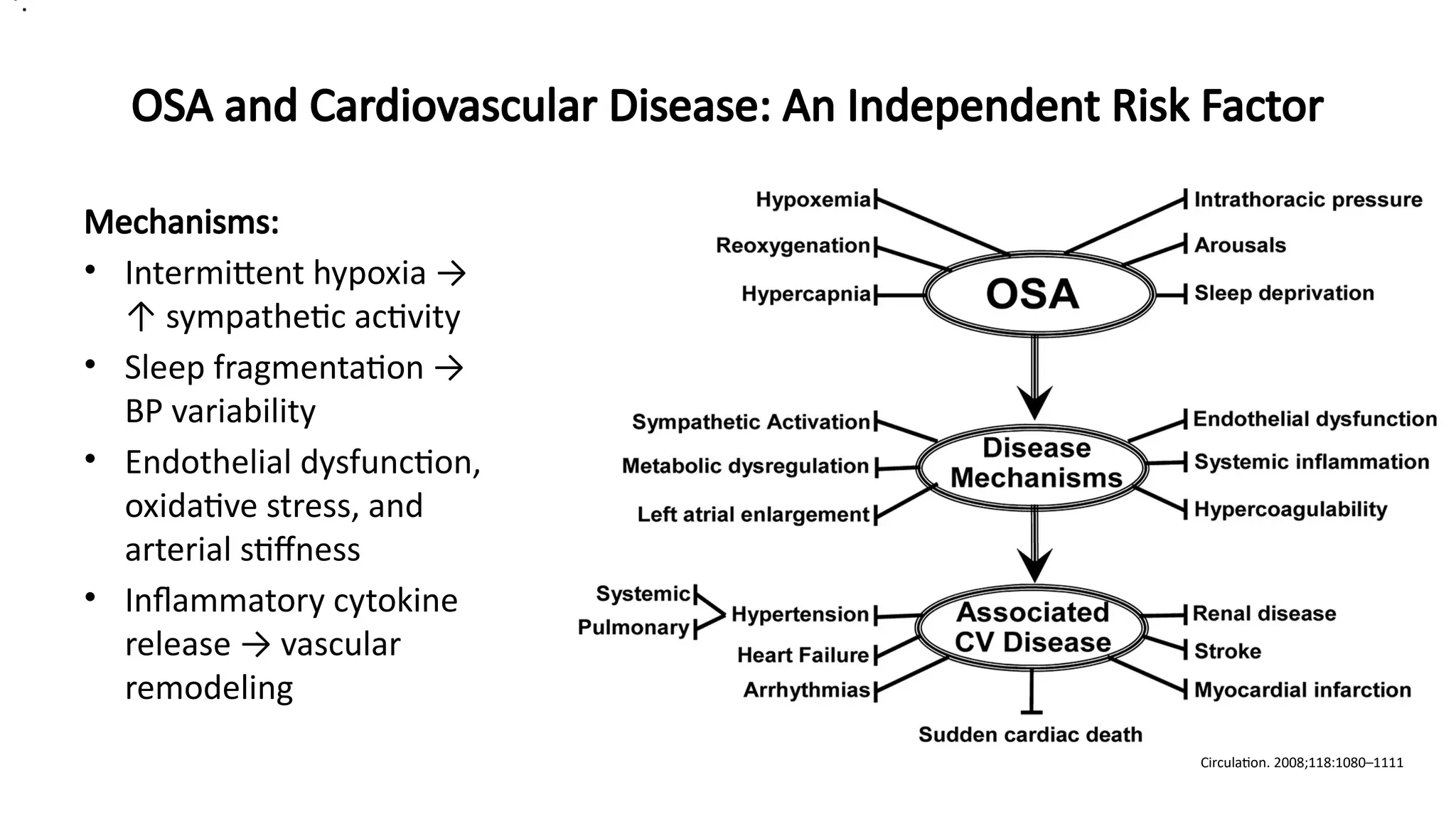 OSA and Cardiovascular Disease: An Independent Risk Factor
Mechanisms:
• Intermittent hypoxia →
↑ sympathetic activity
• Sleep fragmentation →
BP variability
• Endothelial dysfunction,
oxidative stress, and
arterial stiffness
• Inflammatory cytokine
release → vascular
remodeling
Circulation. 2008;118:1080–1111
•.
 