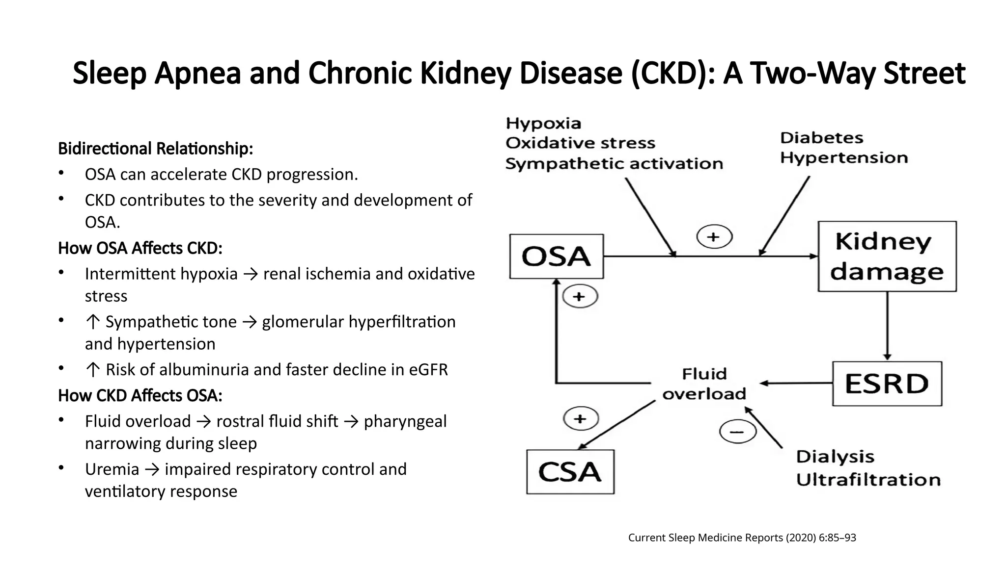 Sleep Apnea and Chronic Kidney Disease (CKD): A Two-Way Street
Bidirectional Relationship:
• OSA can accelerate CKD progression.
• CKD contributes to the severity and development of
OSA.
How OSA Affects CKD:
• Intermittent hypoxia → renal ischemia and oxidative
stress
• ↑ Sympathetic tone → glomerular hyperfiltration
and hypertension
• ↑ Risk of albuminuria and faster decline in eGFR
How CKD Affects OSA:
• Fluid overload → rostral fluid shift → pharyngeal
narrowing during sleep
• Uremia → impaired respiratory control and
ventilatory response
Current Sleep Medicine Reports (2020) 6:85–93
 