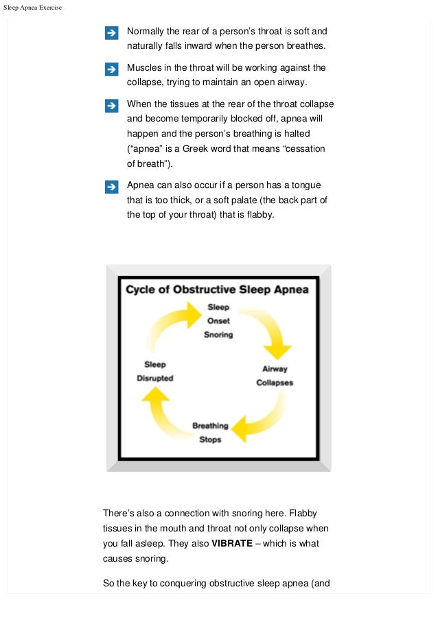 The Sleep Apnea Exercise Program