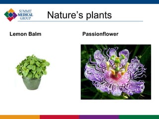 Nature’s plants
Lemon Balm Passionflower
 