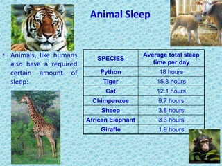 Sleep Cycle PPTX Sleep Cycle PPTX