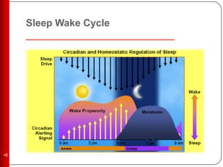 Sleep disorder | PPTX