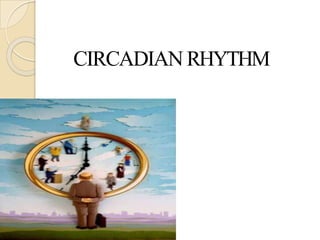 CIRCADIAN RHYTHM
 