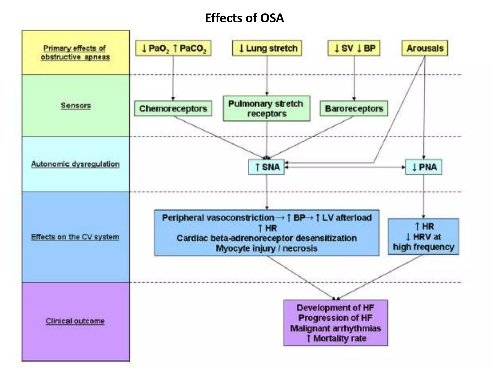 Effects of OSA
 