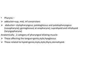 • Pharynx –
 adductor=sup, mid, inf constrictors
 abductor= stylopharyngeus; palatoglossus and palatopharyngeus
(nasopharynx); genioglossus( at oropharynx); suprahyoid and infrahyoid
(laryngopharynx)
Anatomically , 2 category of pharyngeal dilating muscle
 Those affecting the tongue=genio,stylo,hyoglossus
 Those related to hyoid=genio,mylo,stylo,thyro,sternohyoid.
 
