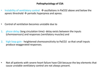 Pathophysiology of CSA
• Instability of ventilatory control  oscillations in PaCO2 above and below the
apneic threshold  periodic hyperpnea and apnea.
• Control of ventilation becomes unstable due to
1. phase delay (long circulation time)- delay exists between the inputs
(chemosensors) and responses (ventilatory muscles) and
2. high loop gain - heightened chemosensitivity to PaCO2 so that small inputs
produce exaggerated responses.
• Not all patients with severe heart failure have CSA because the key elements that
cause unstable ventilatory control are not always present.
 