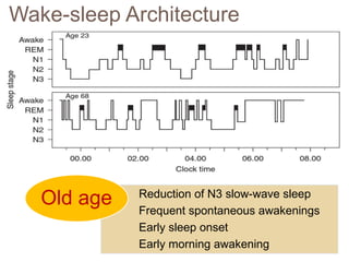 Wake-sleep Architecture
Reduction of N3 slow-wave sleep
Frequent spontaneous awakenings
Early sleep onset
Early morning awakening
Old age
 