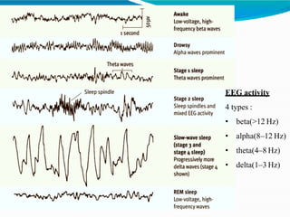 EEG activity
4 types :
• beta(>12 Hz)
• alpha(8–12 Hz)
• theta(4–8 Hz)
• delta(1–3 Hz)
 