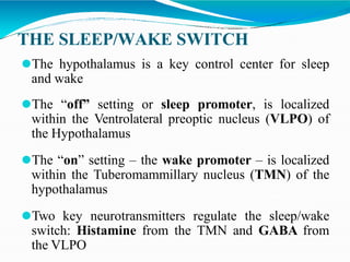 THE SLEEP/WAKE SWITCH
⚫The hypothalamus is a key control center for sleep
and wake
⚫The “off” setting or sleep promoter, is localized
within the Ventrolateral preoptic nucleus (VLPO) of
the Hypothalamus
⚫The “on” setting – the wake promoter – is localized
within the Tuberomammillary nucleus (TMN) of the
hypothalamus
⚫Two key neurotransmitters regulate the sleep/wake
switch: Histamine from the TMN and GABA from
the VLPO
 