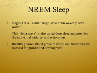 NREM Sleep
 Stages 3 & 4 – exhibit large, slow brain waves (“delta
waves”
 This “delta wave” is also called deep sleep and provides
the individual with rest and restoration.
 Breathing slows, blood pressure drops, and hormones are
released for growth and development.
14
 