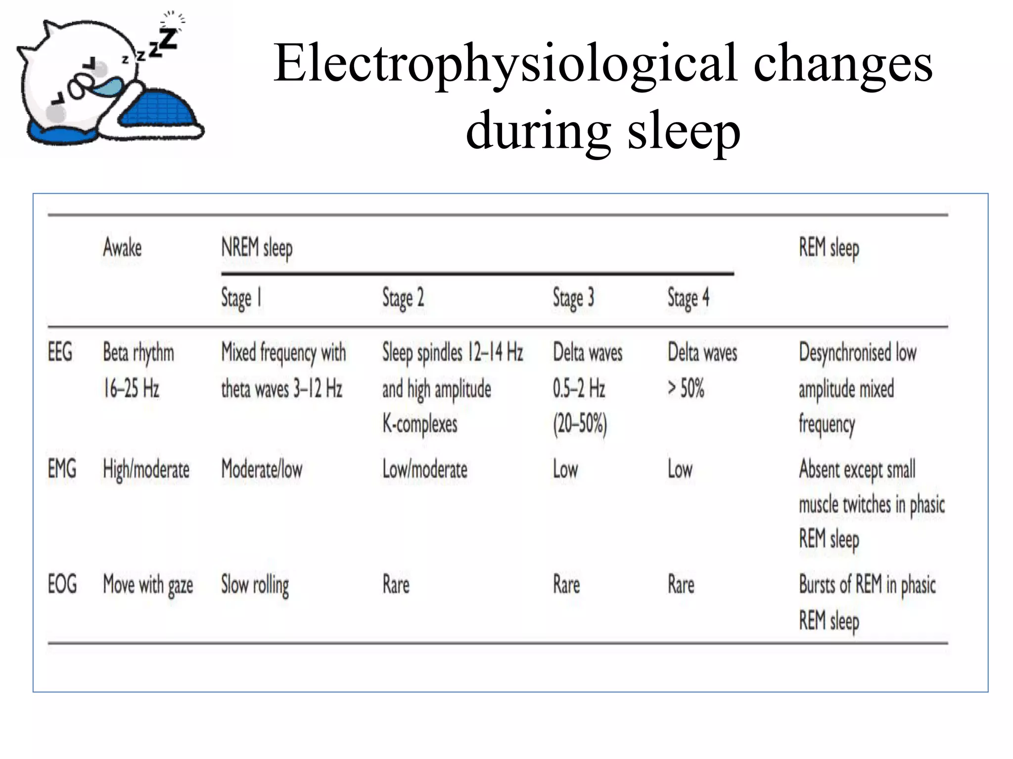 Physiology of Sleep | PDF