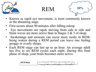 Physiology of Sleep | PDF