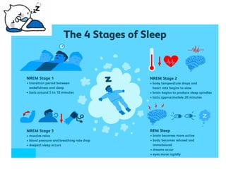Physiology of Sleep | PDF