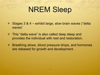 NREM Sleep
 Stages 3 & 4 – exhibit large, slow brain waves (“delta
waves”
 This “delta wave” is also called deep sleep and
provides the individual with rest and restoration.
 Breathing slows, blood pressure drops, and hormones
are released for growth and development.
15
 