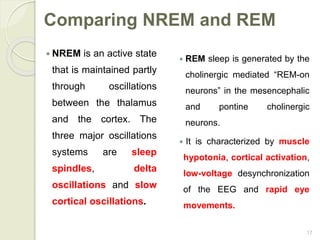 17
Comparing NREM and REM
 NREM is an active state
that is maintained partly
through oscillations
between the thalamus
and the cortex. The
three major oscillations
systems are sleep
spindles, delta
oscillations and slow
cortical oscillations.
 REM sleep is generated by the
cholinergic mediated “REM-on
neurons” in the mesencephalic
and pontine cholinergic
neurons.
 It is characterized by muscle
hypotonia, cortical activation,
low-voltage desynchronization
of the EEG and rapid eye
movements.
 