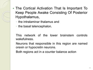 45
 The Cortical Activation That Is Important To
Keep People Awake Consisting Of Posterior
Hypothalamus,
◦ the intralaminar thalamus and
◦ the basal telencephalon.
This network of the lower brainstem controls
wakefulness.
Neurons that responsible in this region are named
orexin or hypocretin neurons.
Both regions act in a counter balance action
 