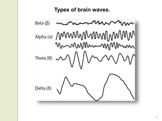 5
Types of brain waves.
 