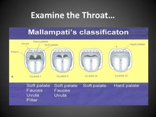 Examine the Throat…

 