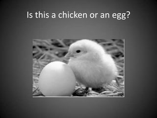 Is this a chicken or an egg?

 